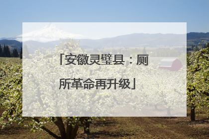安徽灵璧县：厕所革命再升级